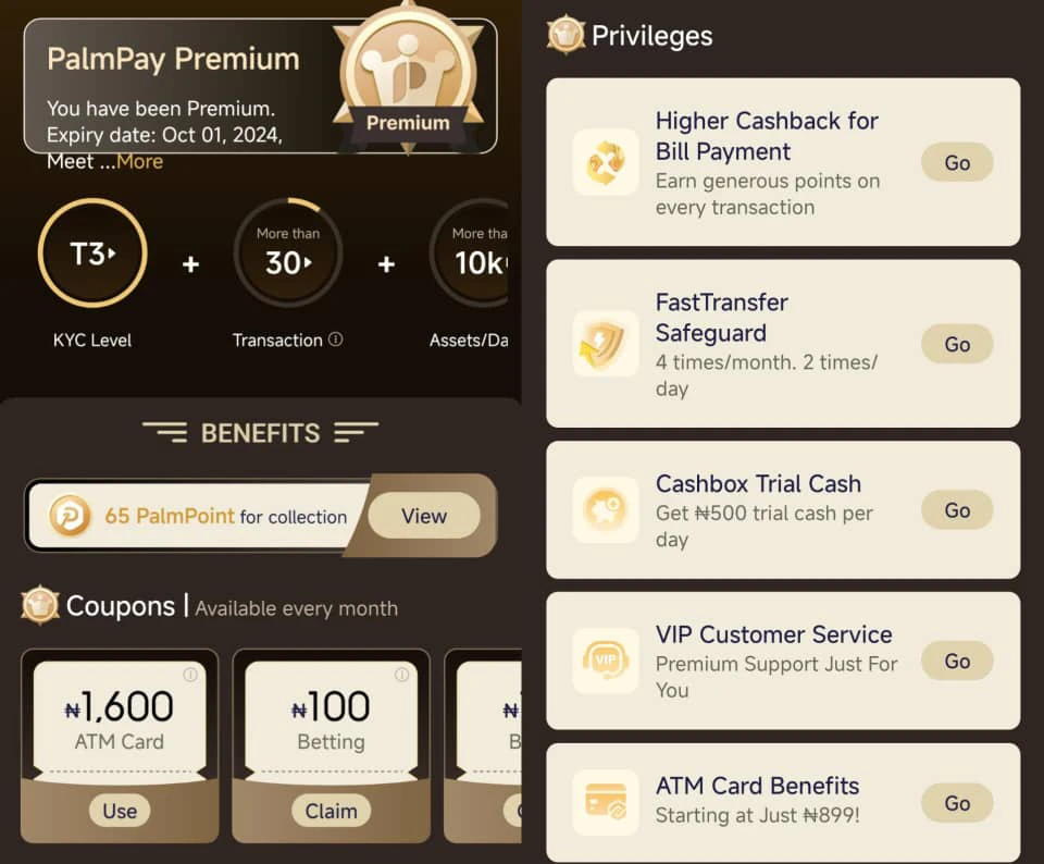 All you need to know about Palmpay premium