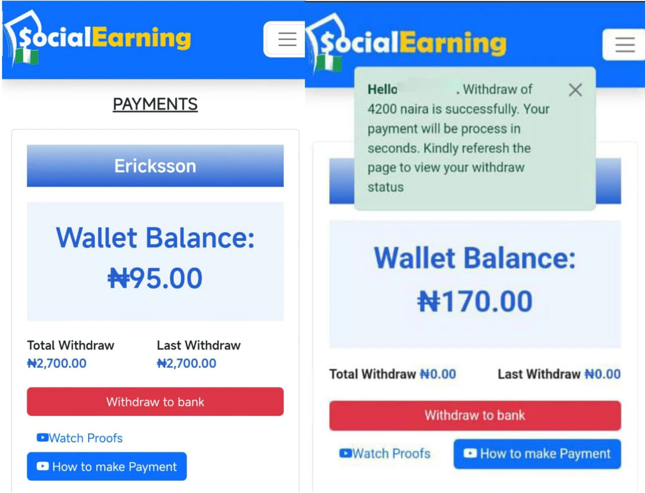 SocialEarning review