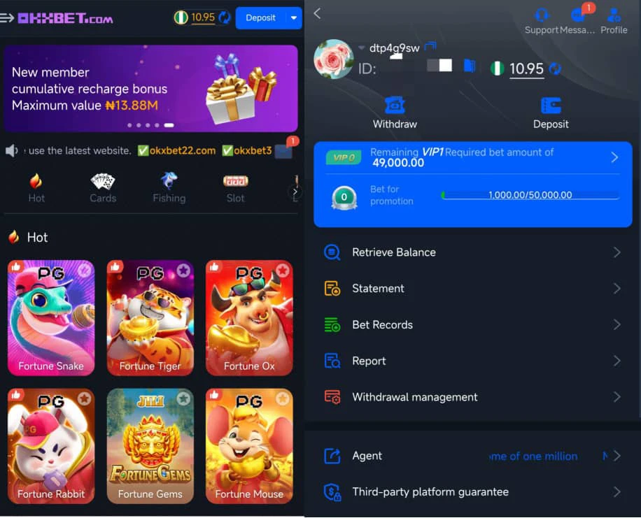 Okxbet review 