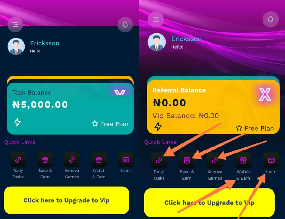 Is Xenova Legit or scam?