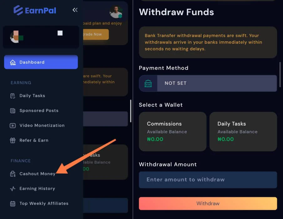 How to withdraw from EarnPal